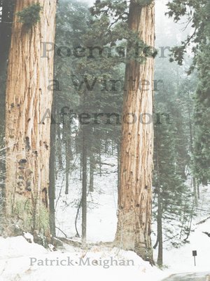 cover image of Poems for a Winter Afternoon